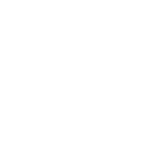 Customized SEO Strategies