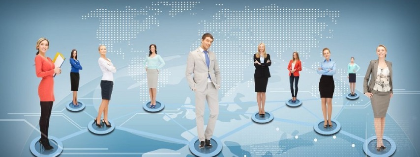 MLM SOFTWARE DEVELOPMENT COMPANY