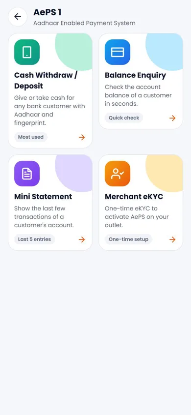 Fintech Software — AePS 1 screen