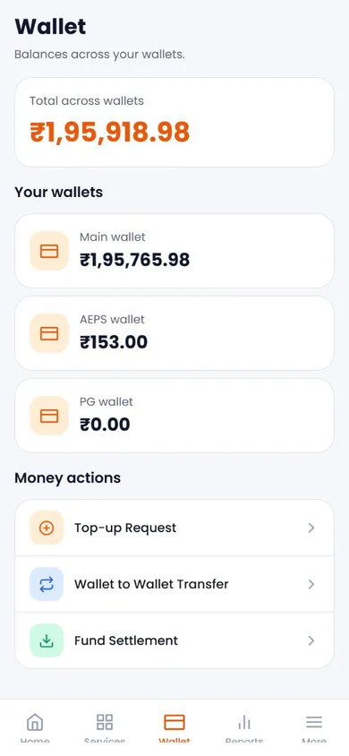 Fintech Software — Wallets screen