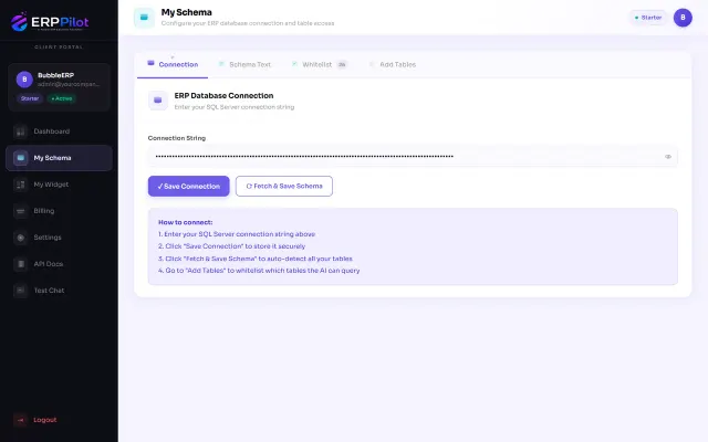 ERP database connection screen used to securely expose selected tables through an API layer