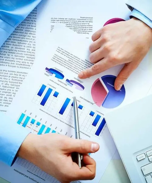 Analyst reviewing search traffic charts and reports